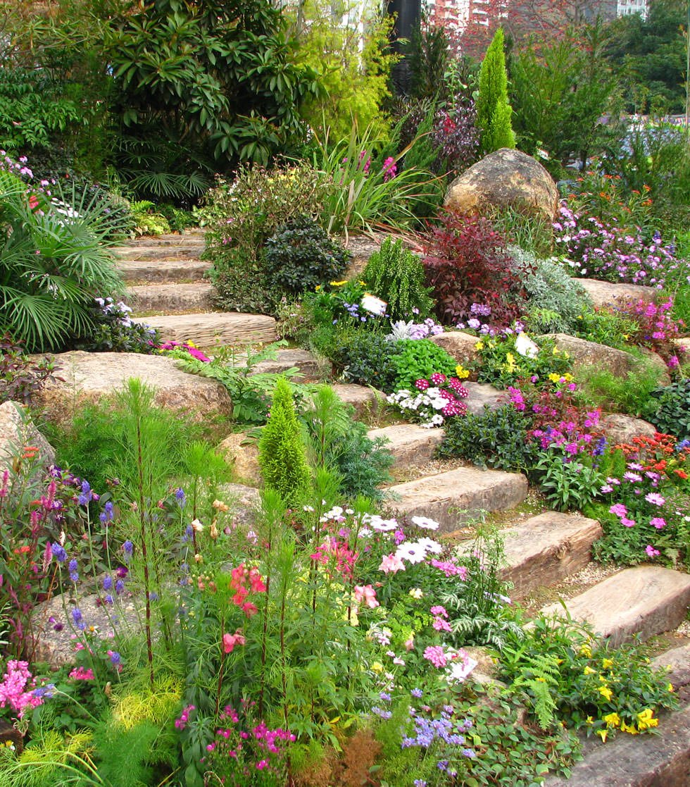 Ispirazione per creare giardino roccioso con scala in pietra - piante perenni e colorate